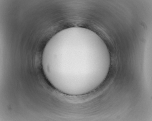 X0000112390030200909032023