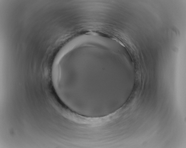 X0000112390031200909032023