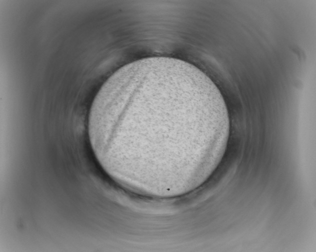 X0000112390032200909032023