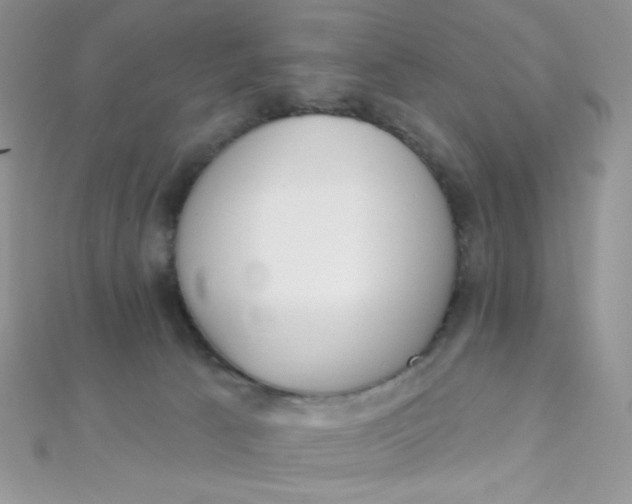 X0000112390033200909032023