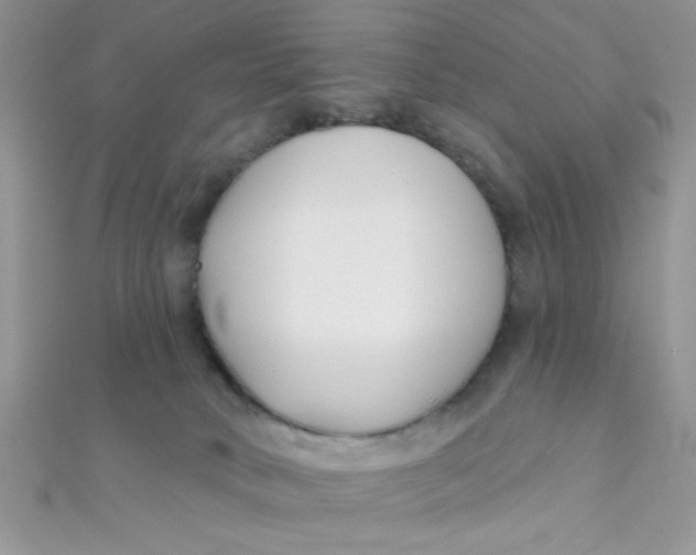 X0000112390034200909032023