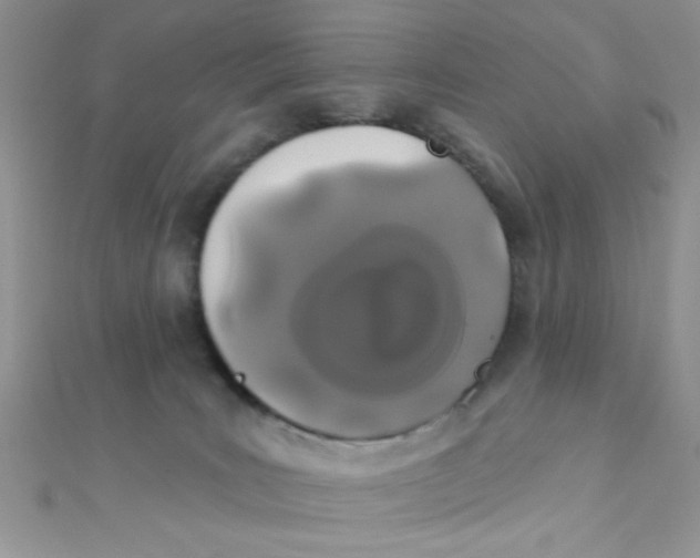 X0000112390035200909032023
