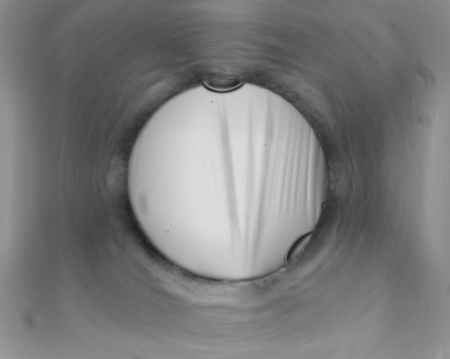 X0000112390036200909032023