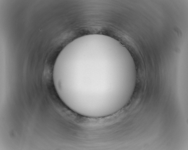 X0000112390037200909032023