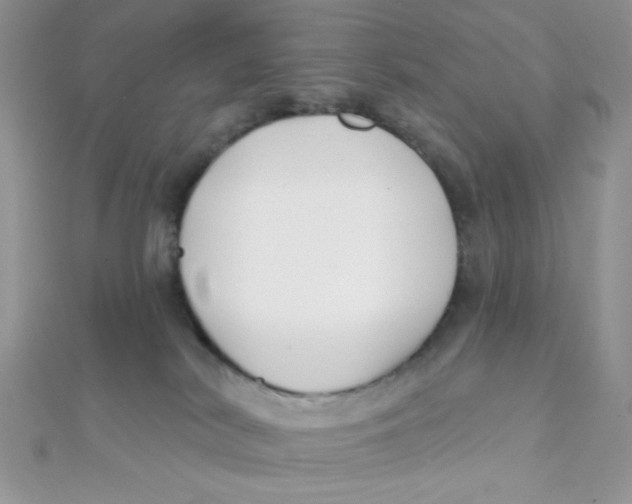 X0000112390038200909032023
