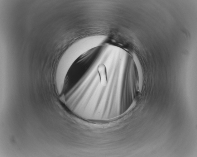 X0000112390039200909032023