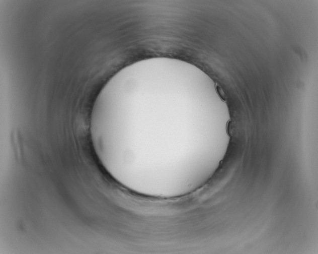 X0000112390040200909032023