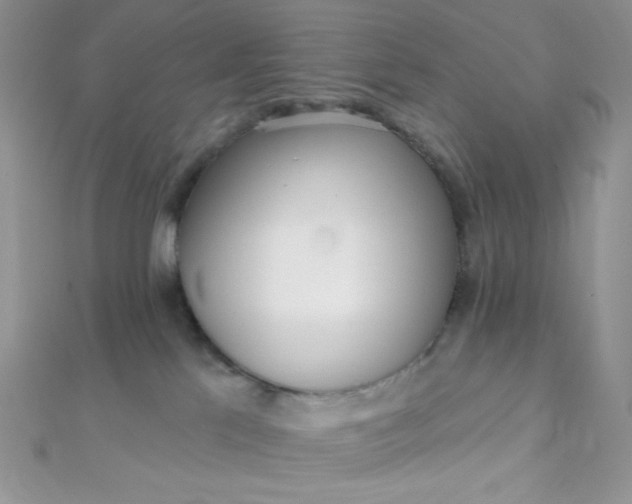 X0000112390041200909032023
