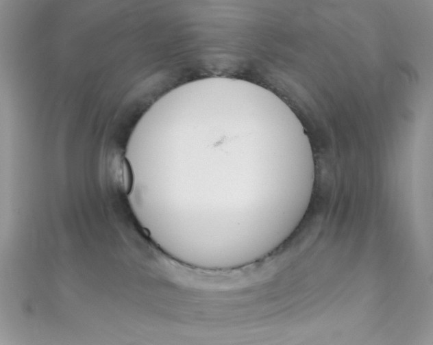 X0000112390042200909032023