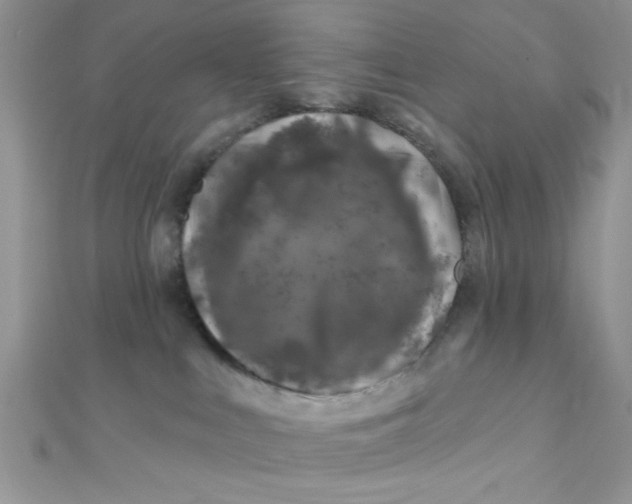X0000112390043200909032023