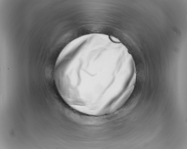 X0000112390044200909032023
