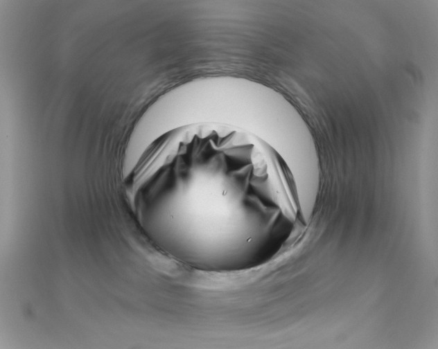 X0000112390045200909032023