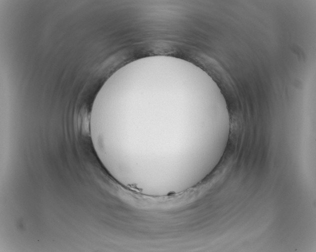 X0000112390046200909032022