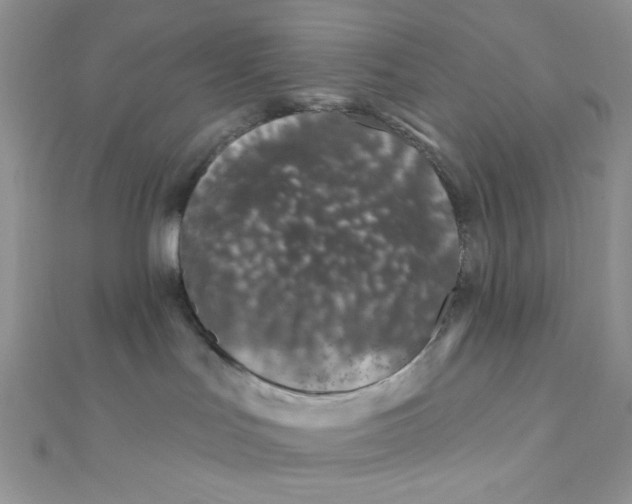 X0000112390047200909032022