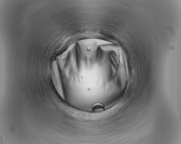 X0000112390048200909032022