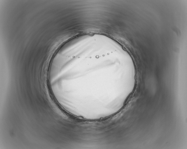 X0000112390049200909032022