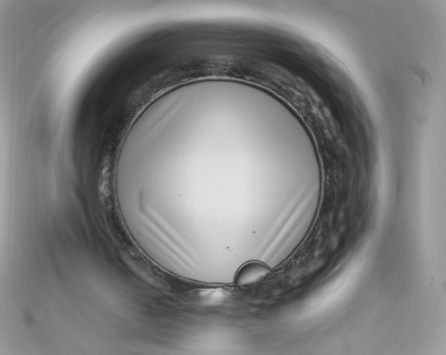 X0000112390050200909032022
