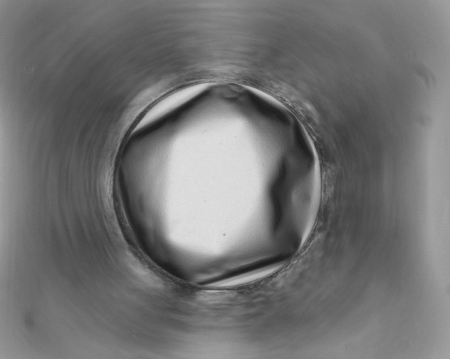 X0000112390051200909032022