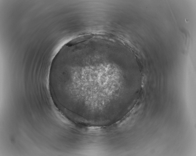 X0000112390052200909032022