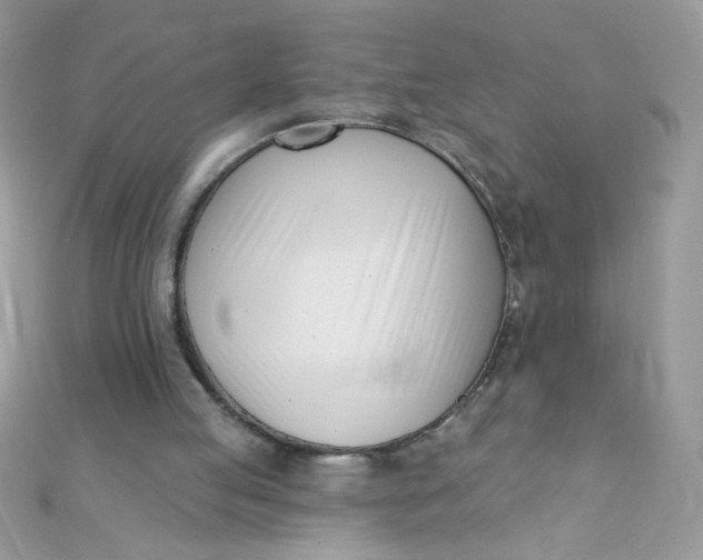 X0000112390053200909032022