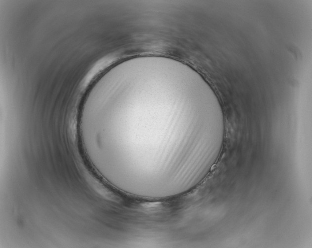 X0000112390054200909032022