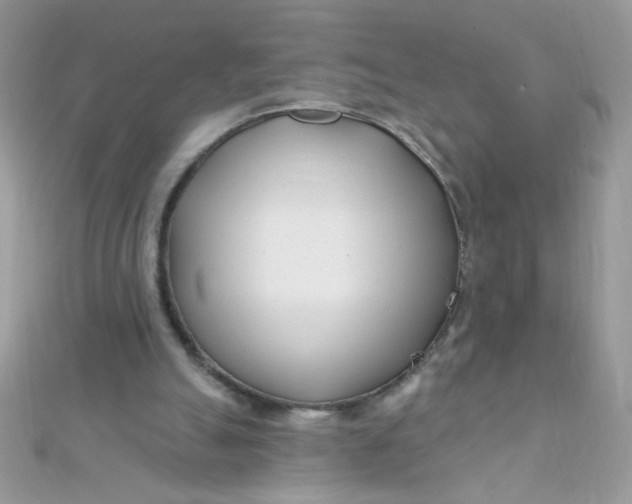 X0000112390055200909032022