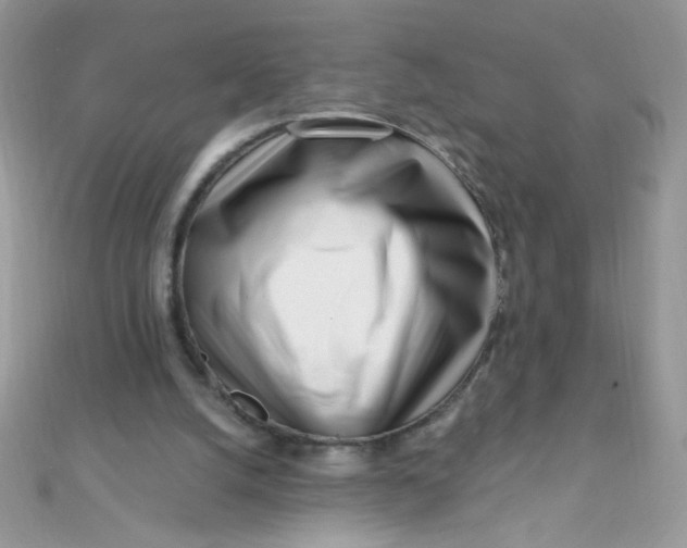 X0000112390056200909032022