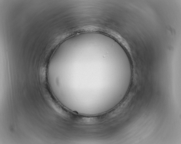 X0000112390057200909032022
