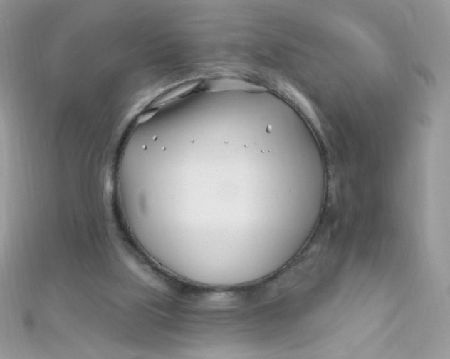 X0000112390059200909032022