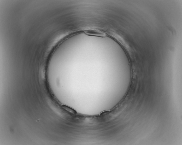 X0000112390060200909032022