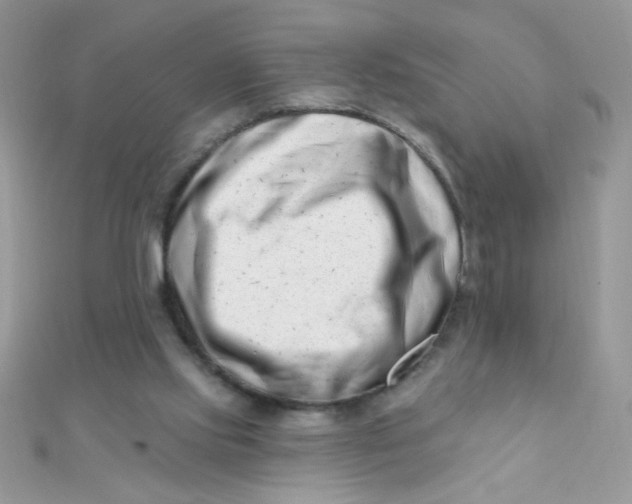 X0000112390061200909032022