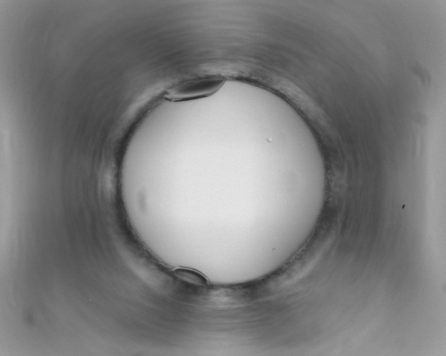 X0000112390064200909032022