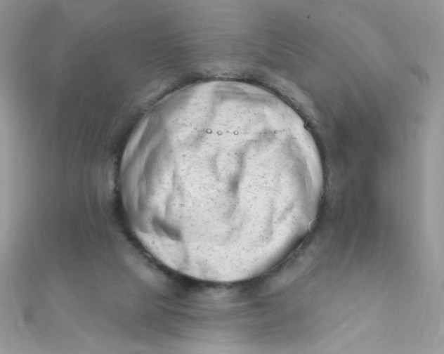 X0000112390065200909032022