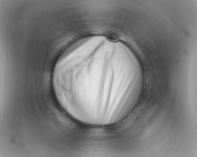 X0000112390066200909032022