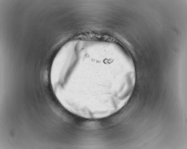 X0000112390067200909032022