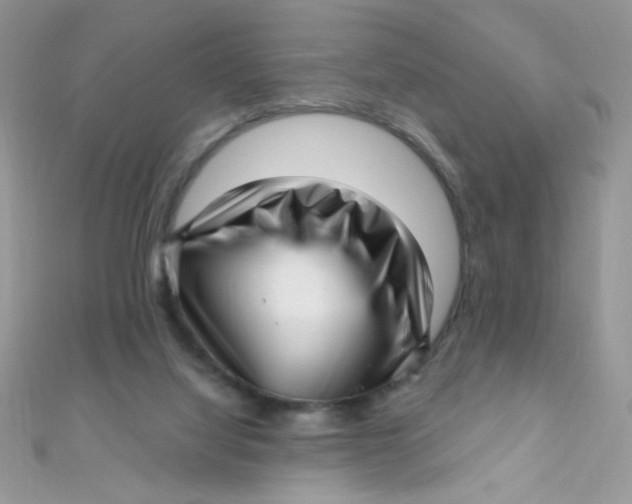 X0000112390068200909032022