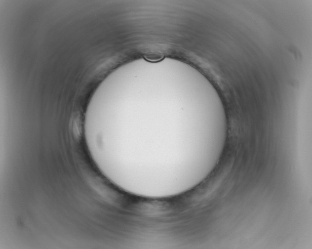 X0000112390069200909032022