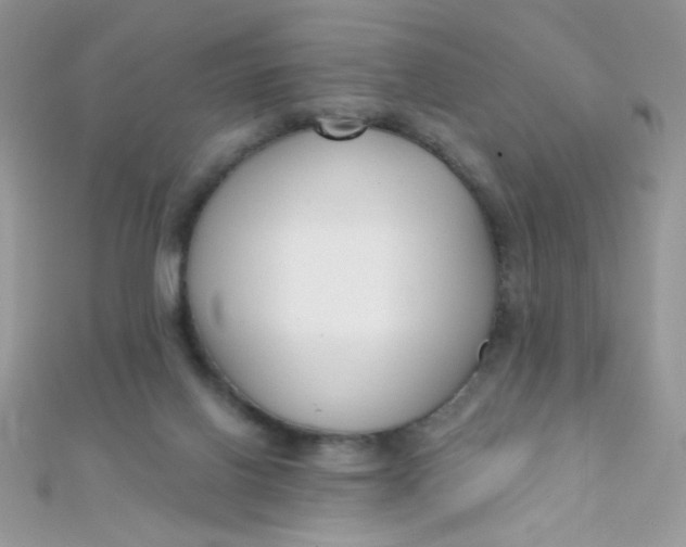 X0000112390070200909032022