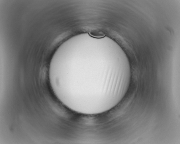X0000112390071200909032022