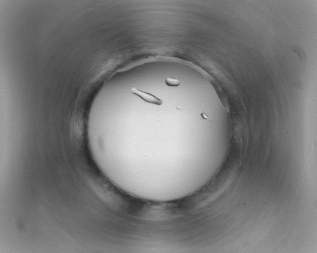 X0000112390072200909032022