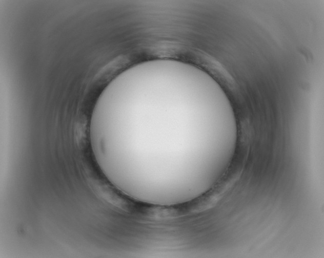 X0000112390073200909032022