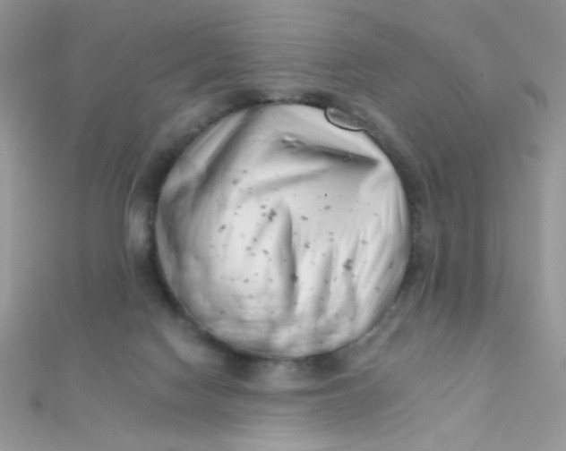 X0000112390074200909032022