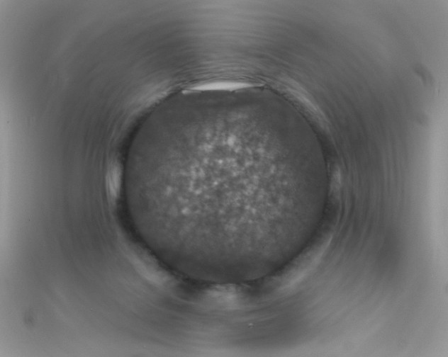 X0000112390076200909032022