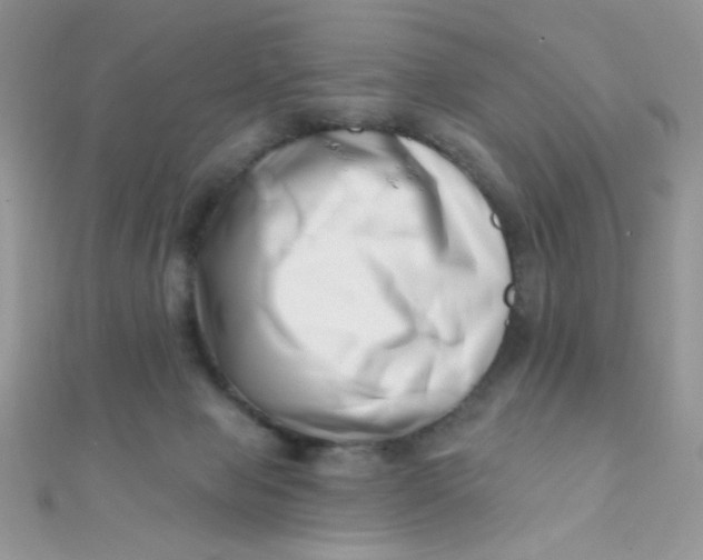 X0000112390077200909032022