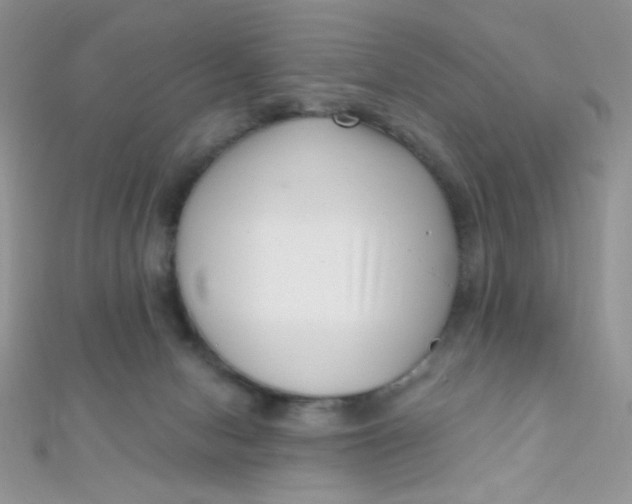 X0000112390078200909032022