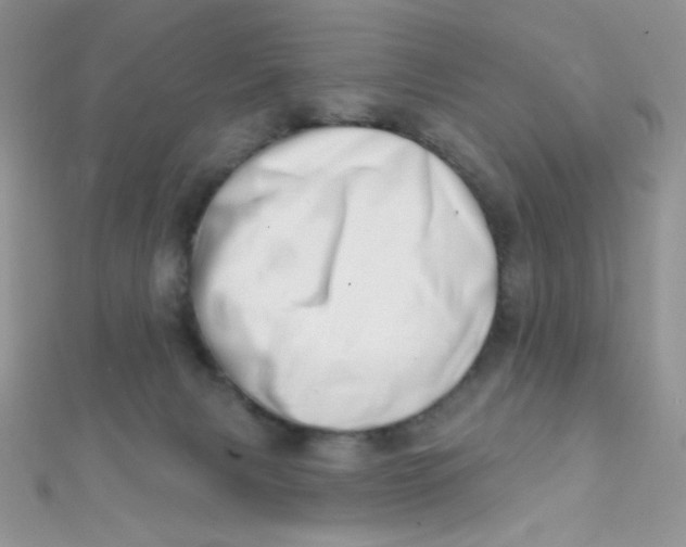 X0000112390079200909032022
