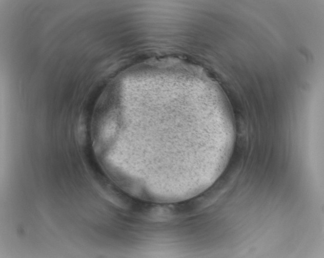 X0000112390080200909032022