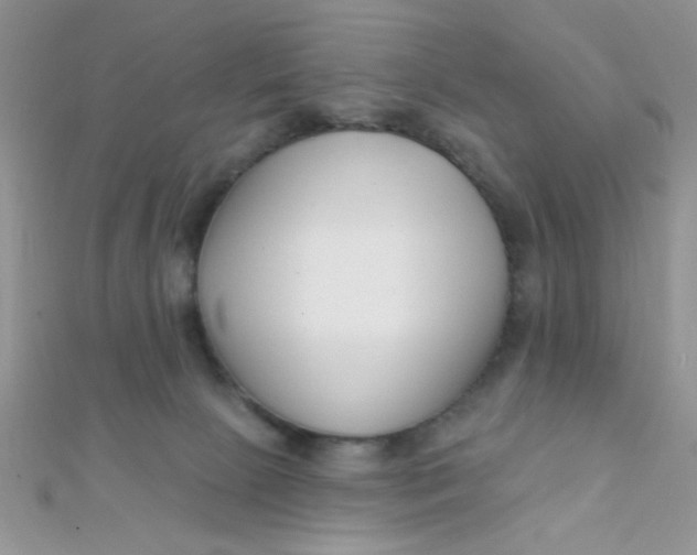 X0000112390081200909032022