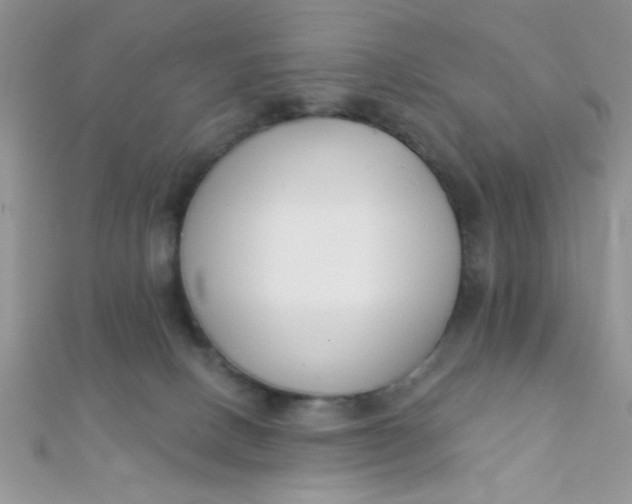 X0000112390082200909032022