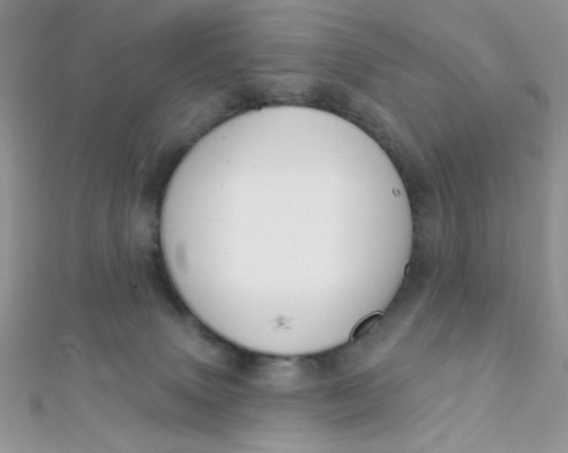 X0000112390083200909032022